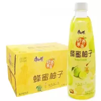 康师傅 蜂蜜柚子500ml*15瓶 计价单位:箱