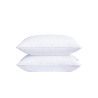 爱飞扬 枕芯(个)