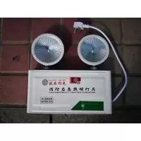 歐亚雄光 ZY-ZFZD-E3W-A1 应急灯 ZG