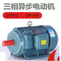 三相异步电动机380V 11KW 单位:台