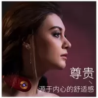 华帝 SKG智能颈椎按摩器4098至尊款 红色 智能设计超长续航 电镀黄金导热更佳 单个价