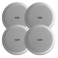 新科 SHINCO V2 蓝牙吸顶喇叭音响功放一体 背景音乐广播音箱 5英寸（四支装）