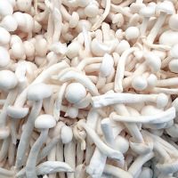 白玉菇一袋