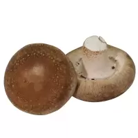 鲜香菇一袋