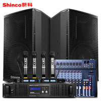 新科 SHINCO ZY-515 专业舞台演出音响套装