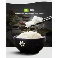 [江苏扶贫][财政集采][泗阳]扶贫基金会贵嘴米业南粳9108(红袋装)5kg/袋