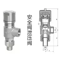 SH氧气安全阀 304 DN15