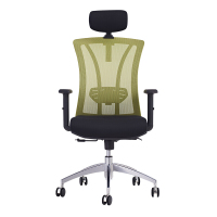 欧宝美电脑椅家用转椅时尚简约休闲座椅办公会议椅可升降绿色