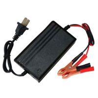 DPAITEC JH 充电器 电动喷雾器充电器 铅酸电瓶充电器三孔