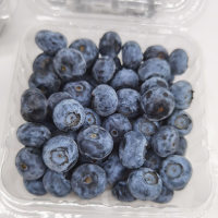 蓝莓中果6盒