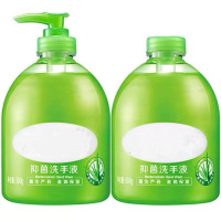 洗手液组合抑菌洗手液(500g+500g)