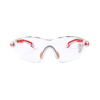 代尔塔 时尚型安全眼镜透明 护目眼镜防护眼镜防雾劳保眼镜防冲击透明镜片 101116 一副