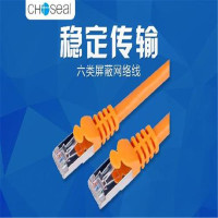 秋叶原 10m 双屏蔽六类网络线 Q-569 (计价单位:根)