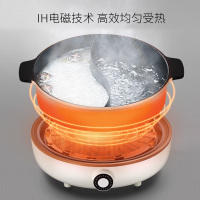 九阳(Joyoung) 家用电磁加热多功能电火锅4.5升L C21-HG3 单个装
