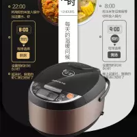 电饭煲F-40FE08 100起订