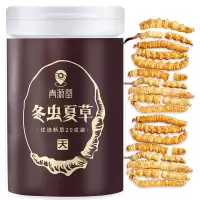 青源堂牌 冬虫夏草 断草20克高品质洁净饱满冻干虫草