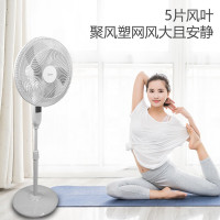 美的(Midea)FSA40XDR电风扇 直流变频电风扇遥控落地扇定时静音