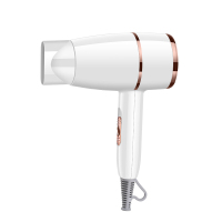 2600大风量造型吹风机(单位:件)