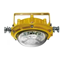 矿用隔爆型LED巷道灯DGS45/127L(A)