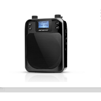 APORO T100 2.4G无线蓝牙扩音器蜜蜂教师导游景点无线教学大功率插卡录音单曲循环遥控连手机 黑色(XF)