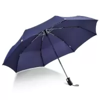 天堂折叠雨伞