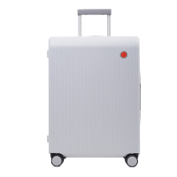 爱可乐(Echolac) 拉杆箱20寸PW004 (灰色)