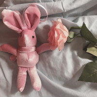 巧心师网红许愿兔婚礼结婚伴手礼礼盒毛绒玩偶小号公仔生日配饰 许愿兔玩偶粉色公仔