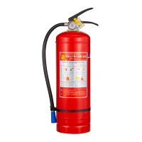 神龙手提式干粉灭火器MFZ/ABC5