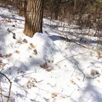 兵行者CS遮阳服雪地伪装衣防航拍伪装服套装白色毛丝状吉利服军迷服装 雪地伪装衣套装