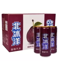 北冰洋 酸梅汤汽水易拉罐碳酸饮料330ml*24听北京特产