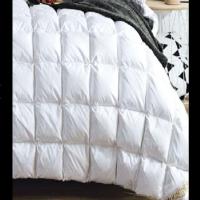金丝莉(kintheri) 皇家轻奢白鹅绒被 JB-1070 200×230cm 1250g 单张价格 单张装