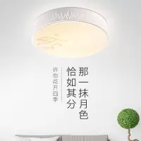 雷士照明(NVC)LED 吸顶灯18WSA (XF)