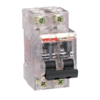 德力西 DELIXI ELECTRIC DZ47 2P D 63A 小型断路器 DZ47 透明壳 2P D 63A