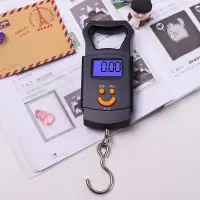 拜杰(Baijie)手提电子秤 便携式厨房秤商用弹簧电子秤 LY-101