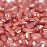 领鲜365红豆