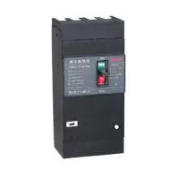 德力西 DELIXI ELECTRIC 漏电保护塑壳断路器DZ20L-160T/4300 125A 300MA