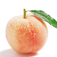 俏鲜莎(QIAOXIANSHA)无锡阳山水蜜桃6两左右12只