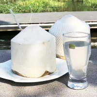 俏鲜莎(QIAOXIANSHA)海南去皮椰青椰子4个装去皮椰汁椰奶肉现摘孕妇水果椰青