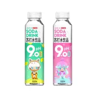 苏打水 500mL 15瓶装