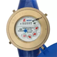 LIGHTS GO 065 LXSG-E铁壳旋翼干式冷水表DN40