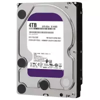COLORCITY 西部数据 紫盘SATA6Gb/s64M监控硬盘(WD40EJRX) 紫盘|(7*24)监控硬盘4TB