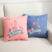 迪士尼(DISNEY) ZD-02006 木兰多功能抱枕被 A款 单个价格