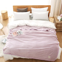 迪士尼(DISNEY) ZD-02002 迪士尼木兰暖绒毯 单条装