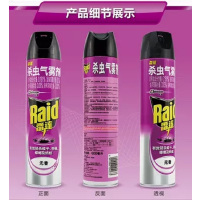 雷达(Raid)(Raid) 杀虫气雾剂 无香型喷雾 喷罐杀蝇虫 蚊蟑 防蚊 驱蚊 600ml/瓶雷达杀虫剂 单瓶装