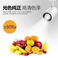 雷士照明LED轨道灯射灯导轨灯 COB 光源大概率灯 白色12瓦3000k