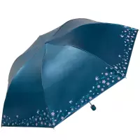 天堂伞 春意融融 H