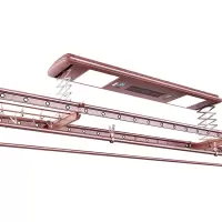 好太太(HOTATA)GW-1663A 电动晾衣架 智能电动升降 晾衣杆 新款自动遥控多功能