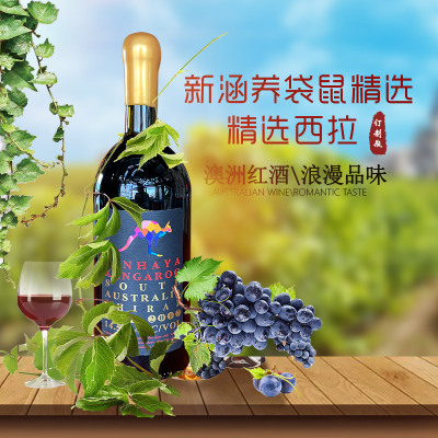 新涵养袋鼠(Xinhaya Kangaroo) 精品西拉红葡萄酒750ml 单瓶价