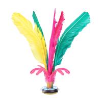 陇步昇 大花毽 5个/组