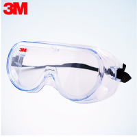 3M 1621 护目镜(单付装)-(付)防护化学飞溅护目镜